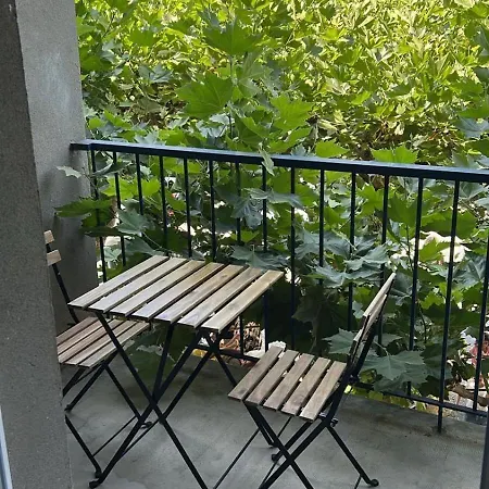 公寓 En Coeur De Village Au Pied Du Chateau Avec 2 Balcons *